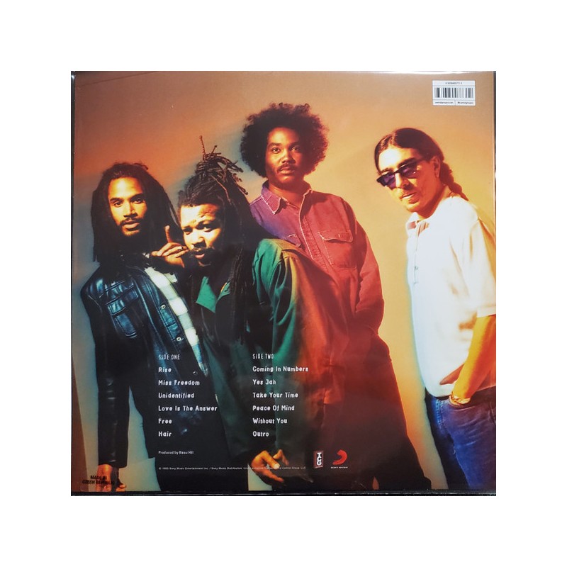 Bad Brains "Rise" Vinilo