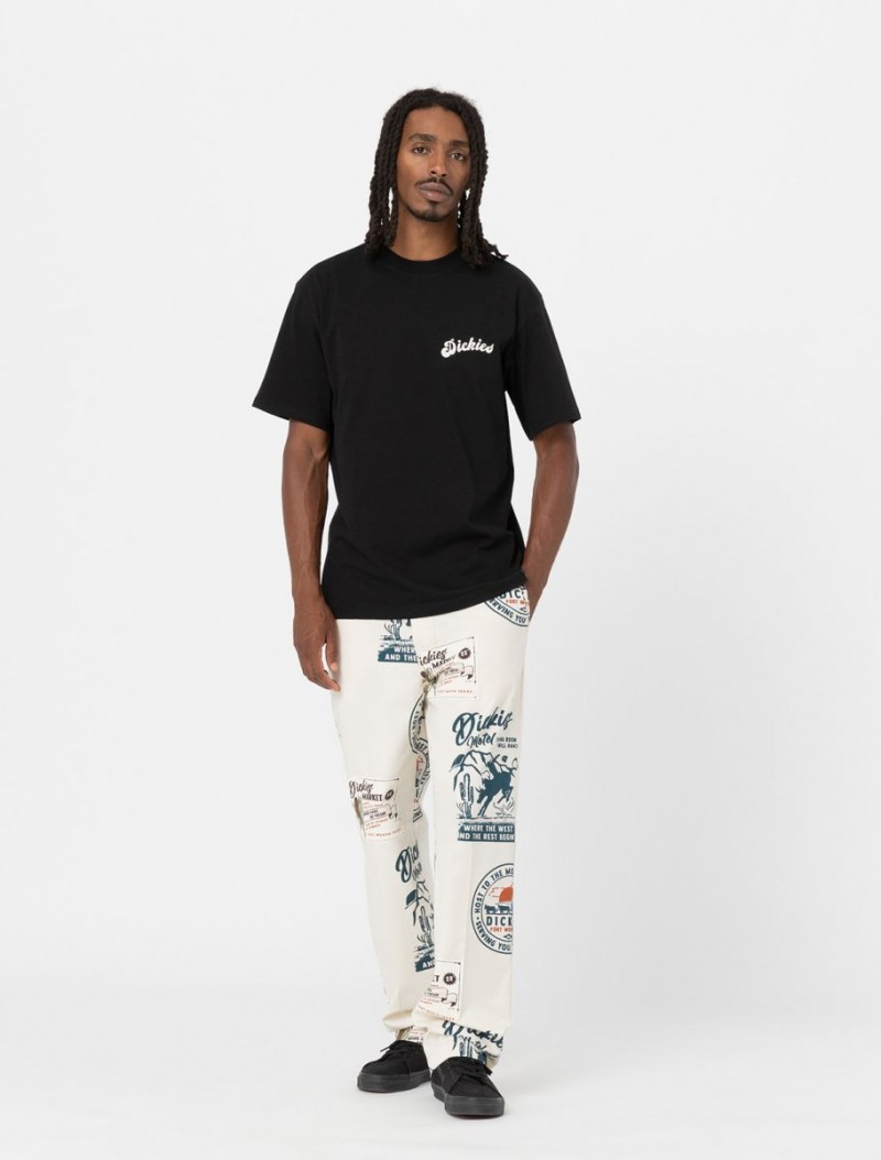 Dickies Grainfield Tee Black