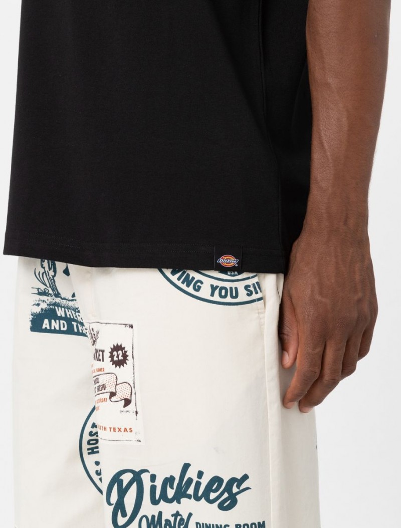 Dickies Grainfield Tee Black