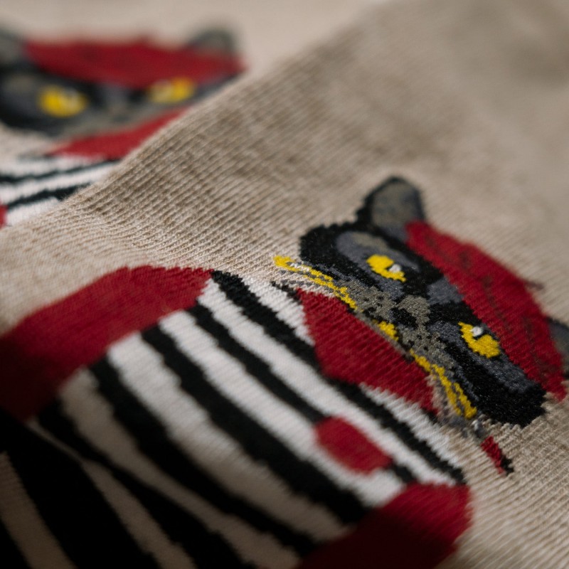 Jimmy Lion Artist Cat Socks