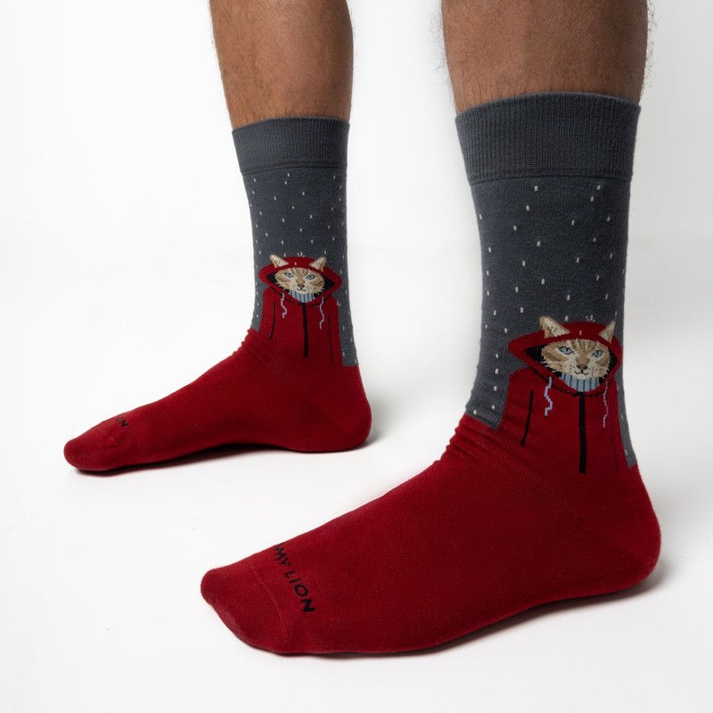 Jimmy Lion Raining Cat Socks
