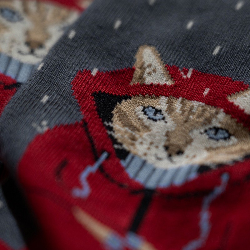 Jimmy Lion Raining Cat Socks