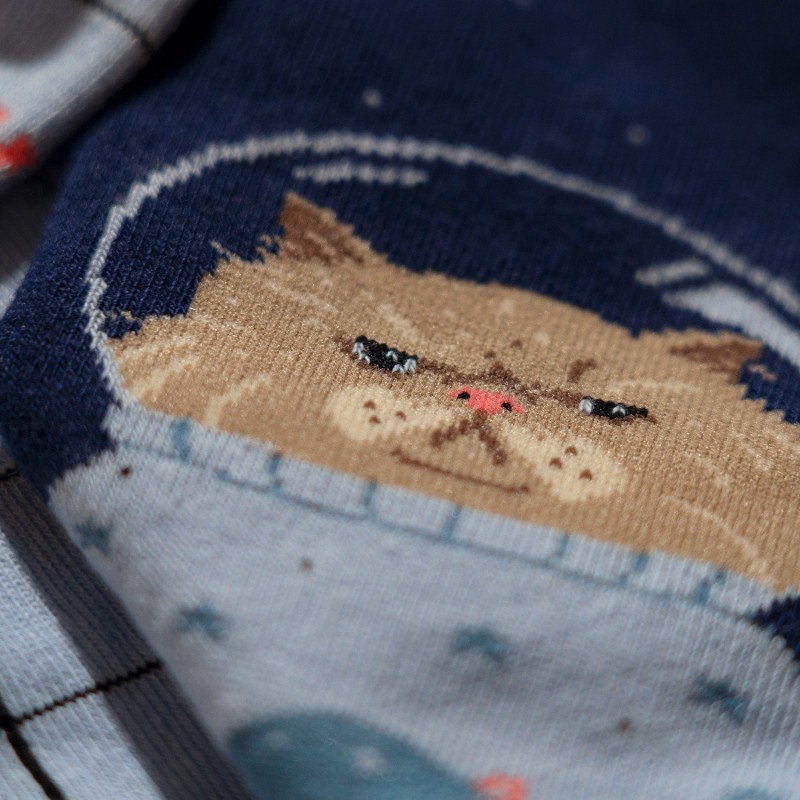 Jimmy Lion Space Cat Socks