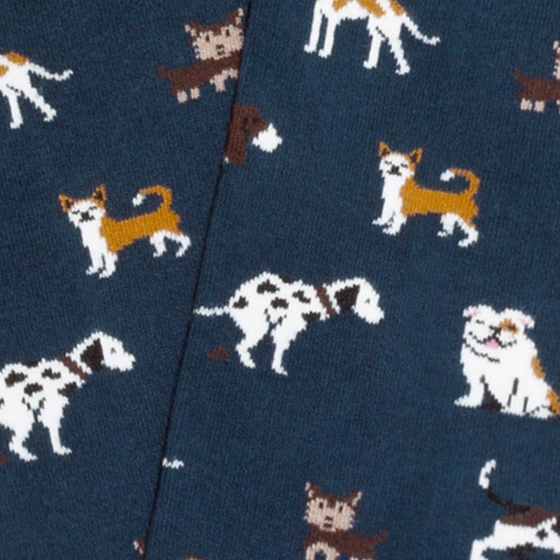 Jimmy Lion Dogs Socks