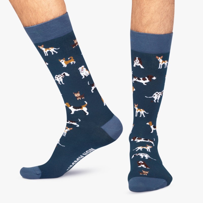 Jimmy Lion Dogs Socks