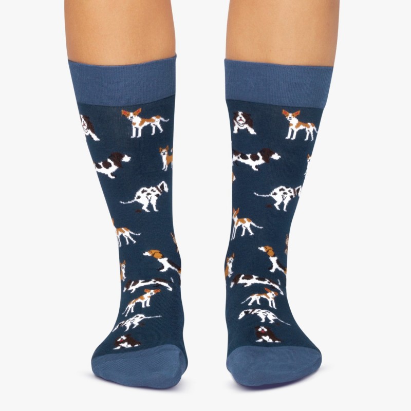 Jimmy Lion Dogs Socks