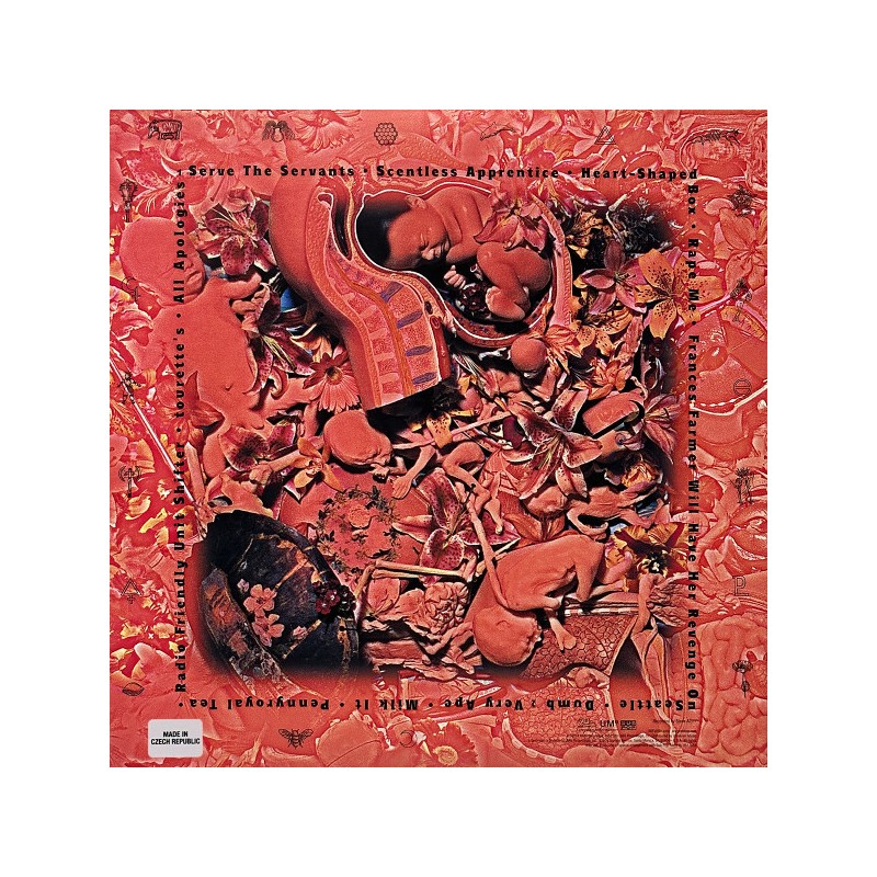 Nirvana "In Utero"  (Anniversary...