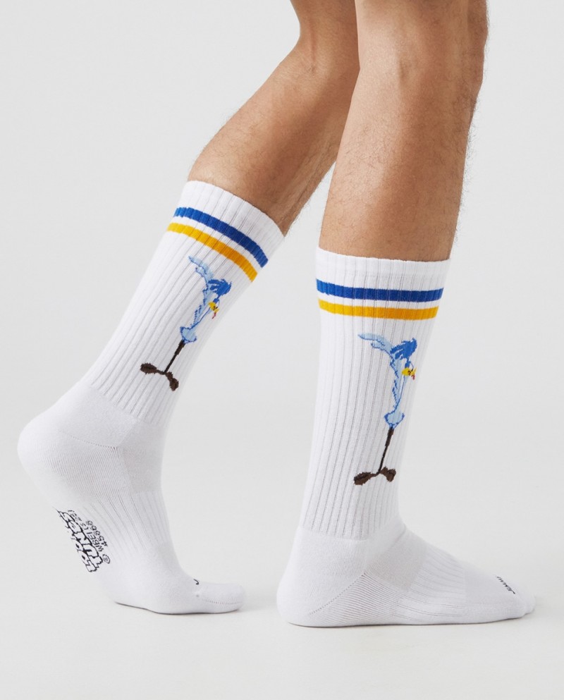 Jimmy Lion Athletic Road Runner Vs...