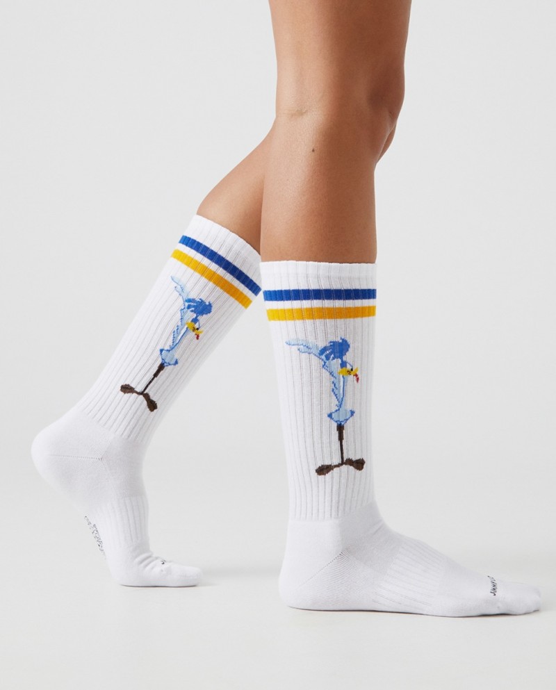 Jimmy Lion Athletic Road Runner Vs...