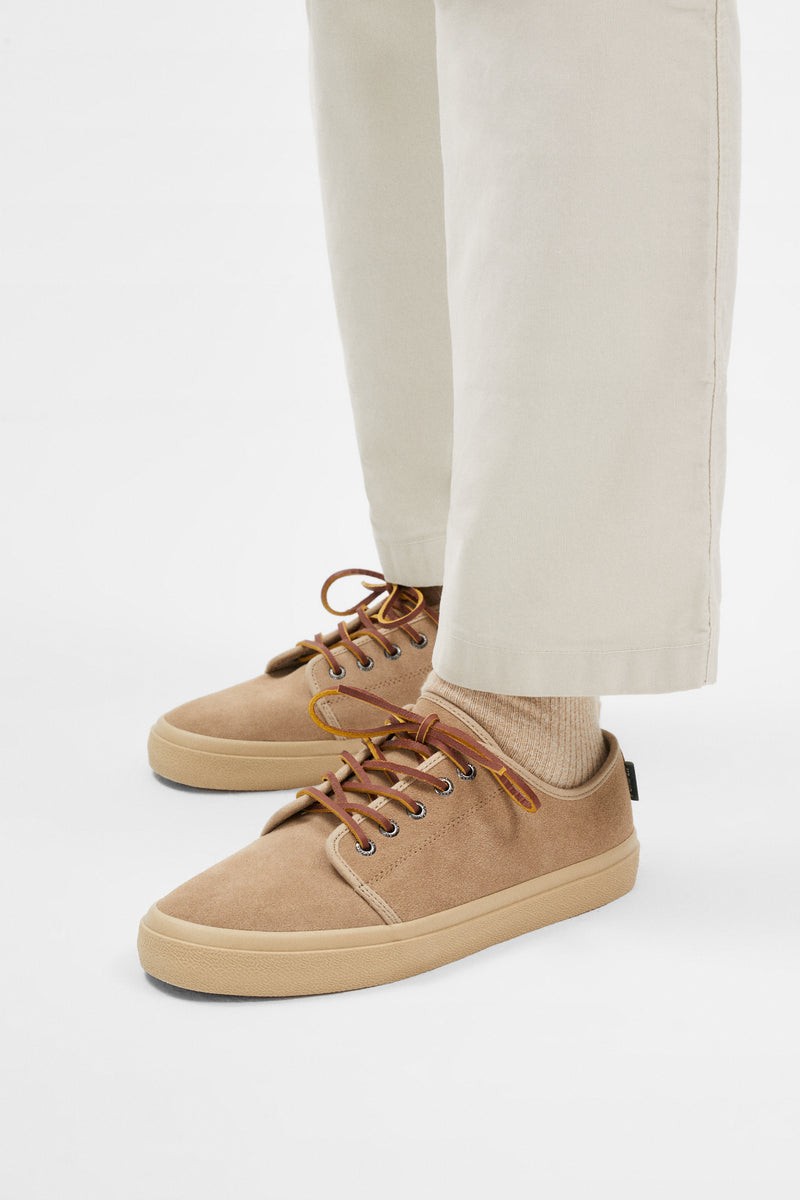 Pompeii Higby V2 Moss