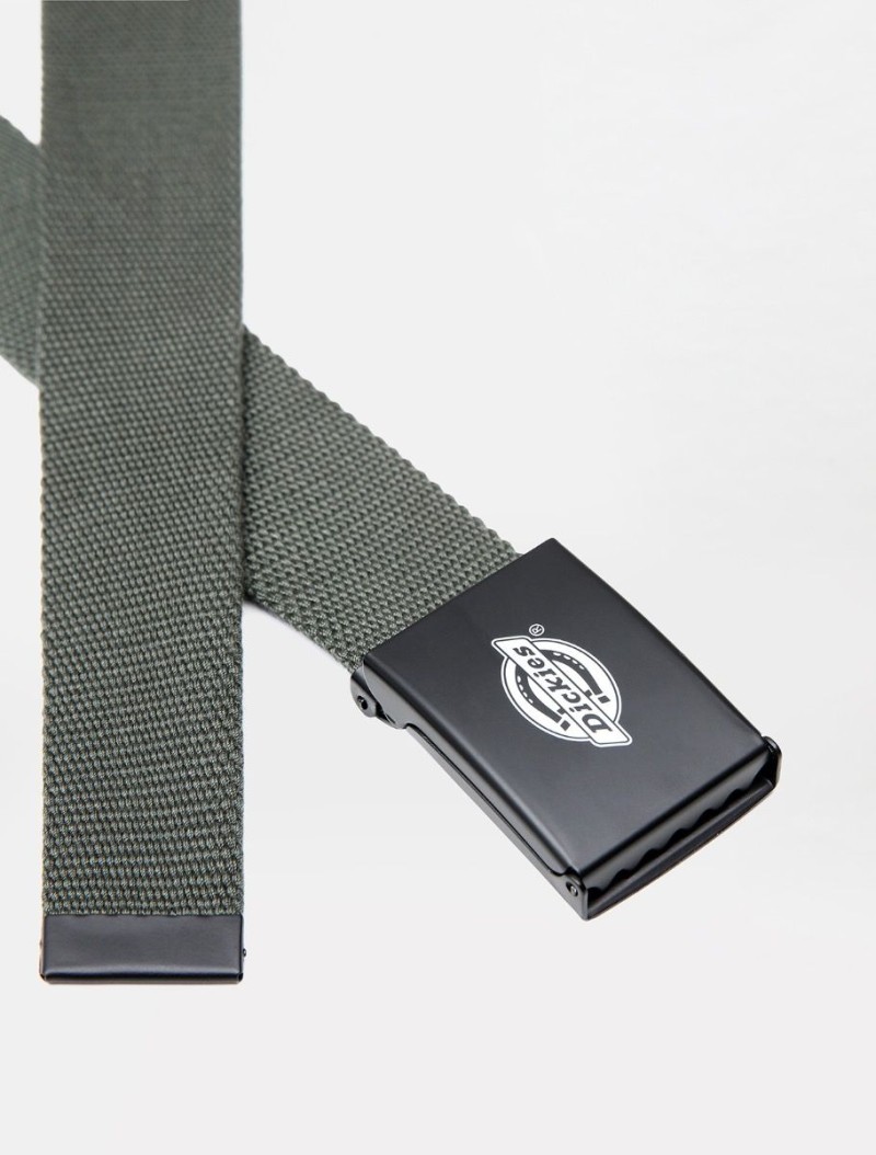 Dickies Orcutt Belt Olive Green
