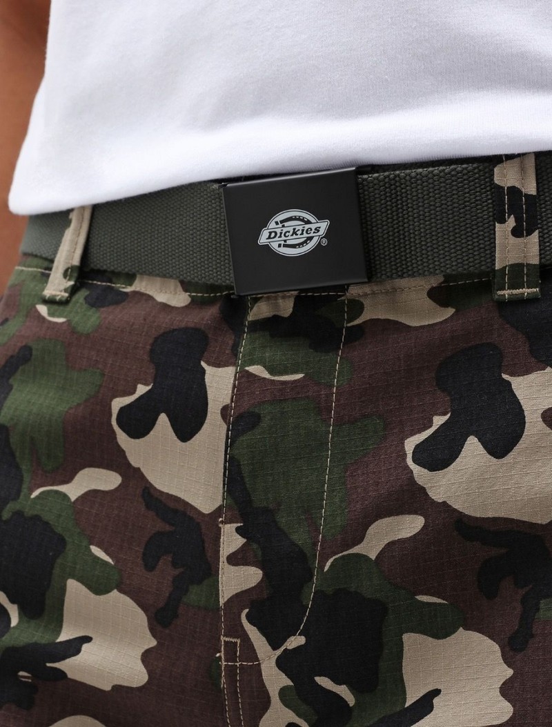 Dickies Orcutt Belt Olive Green