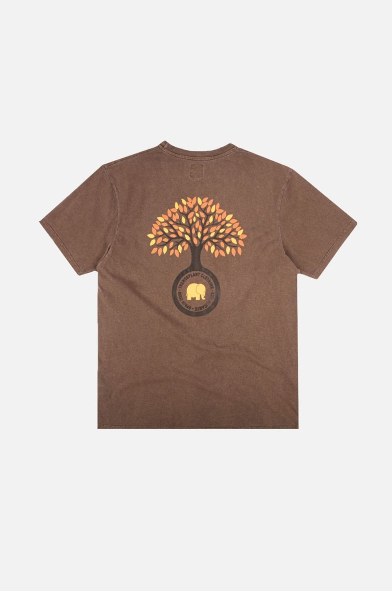 Trendsplant Fafe Pigment Tee Chestnut
