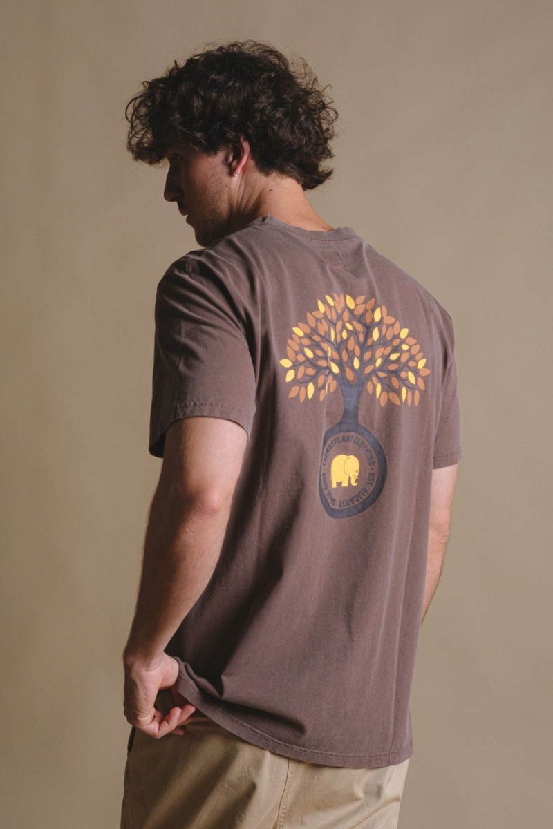 Trendsplant Fafe Pigment Tee Chestnut