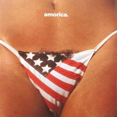 The Black Crowes "Amorica"...