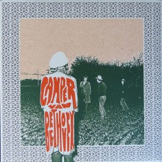Camper Van Beethoven...