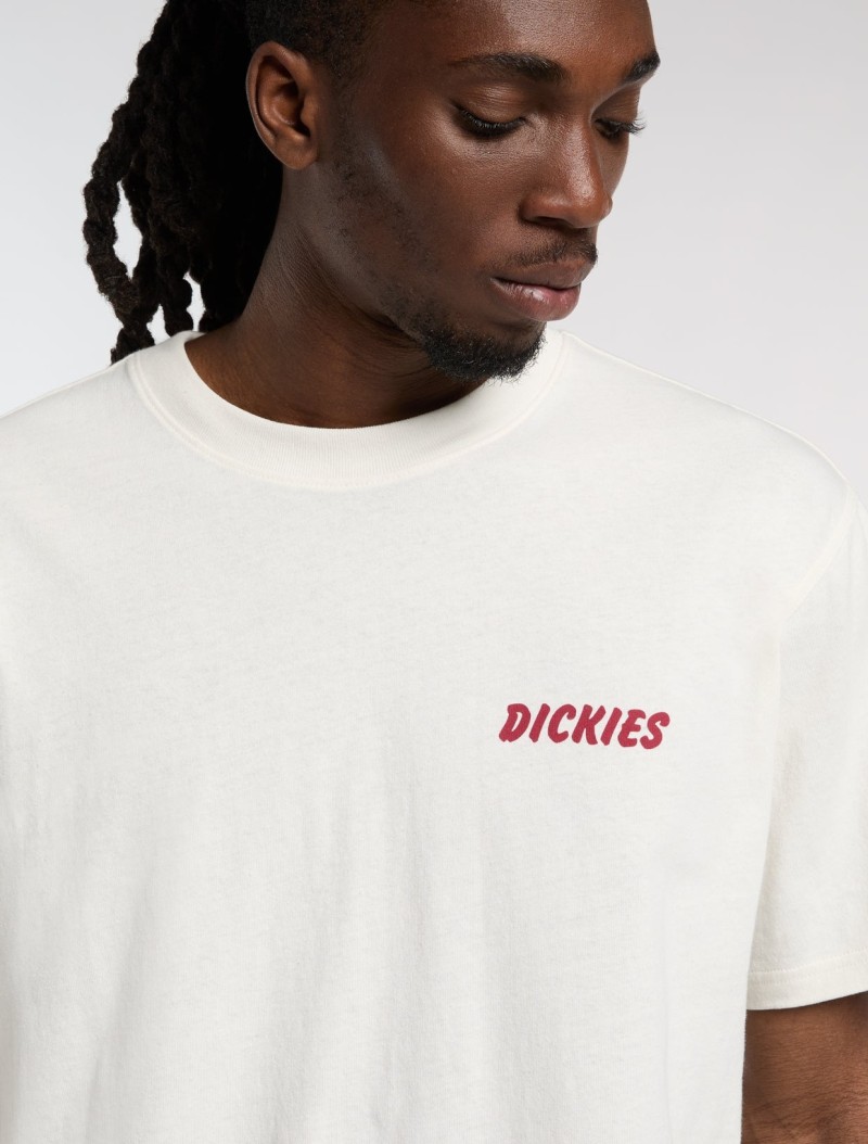 Dickies Dry Ridge Tee Egret