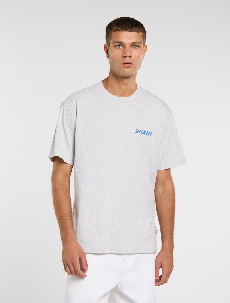 Dickies Dry Ridge Tee Light Grey