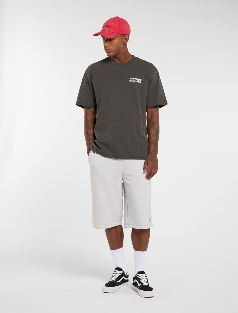 Dickies Buchtell Tee Black