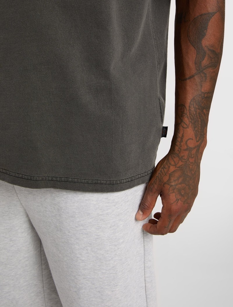 Dickies Buchtell Tee Black