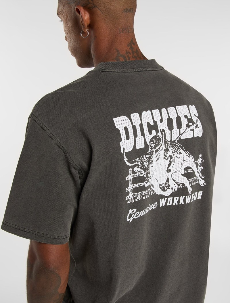 Dickies Buchtell Tee Black