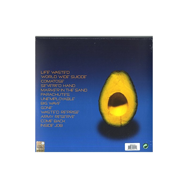 Pearl Jam "Pearl Jam" Vinilo 2 LP