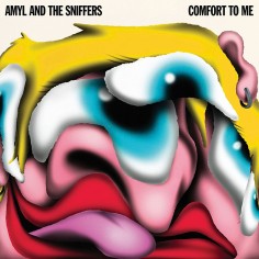 Amyl And The Sniffers...