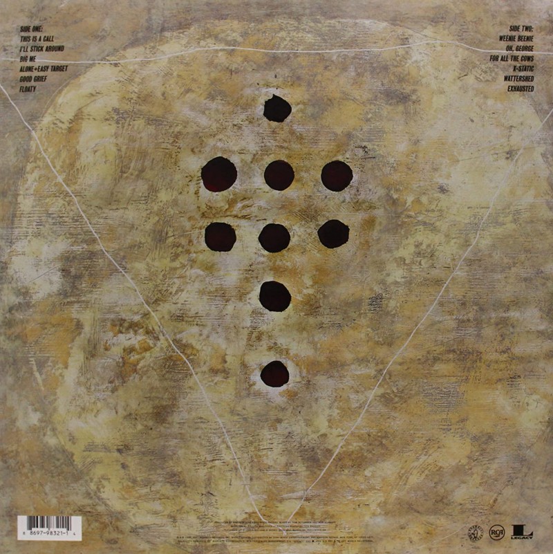 Foo Fighters "Foo Fighters" Vinilo